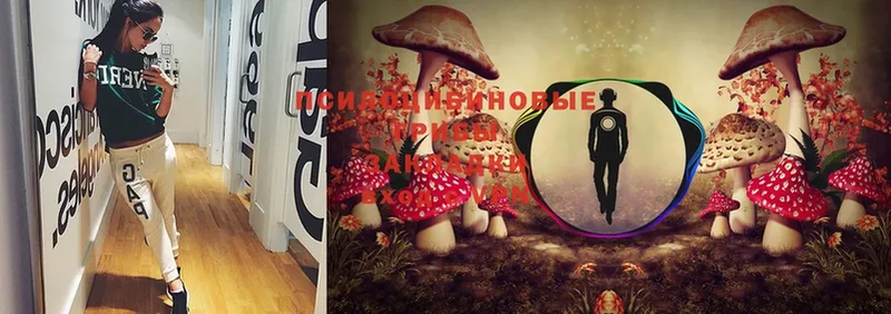 Псилоцибиновые грибы MAGIC MUSHROOMS  Ишимбай 